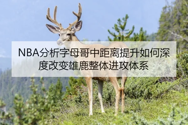 NBA分析字母哥中距离提升如何深度改变雄鹿整体进攻体系