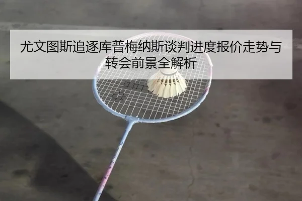 尤文图斯追逐库普梅纳斯谈判进度报价走势与转会前景全解析